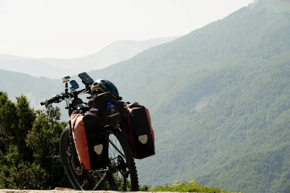 Ayuso Targets France — Trek's Strategic Move Aims to Boost UK Market Influence — Economy Business