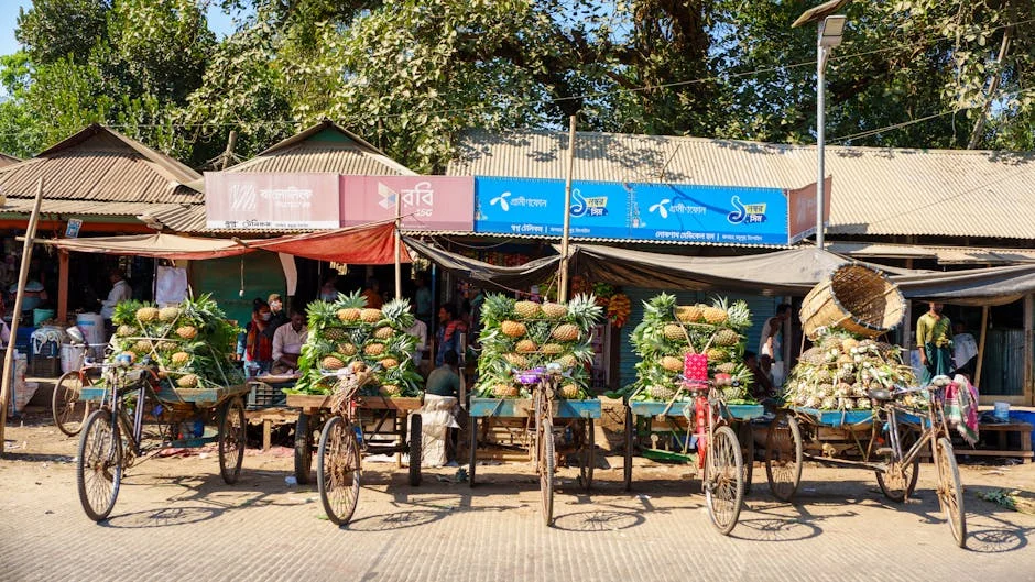 Bangladesh vs New Zealand in Chattogram — Markets Eye SG's Response — Economy Business