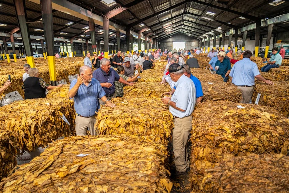 Bayern Ambos Breaks Market Norms with Bold Strategic Move — Economy Business