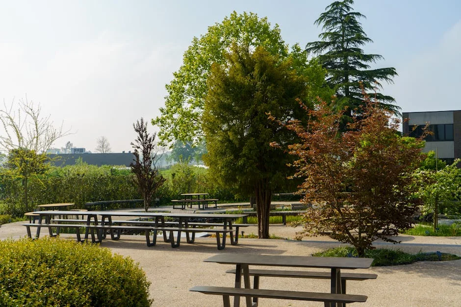 Cambridge Science Park Launches £2bn Redevelopment — Science