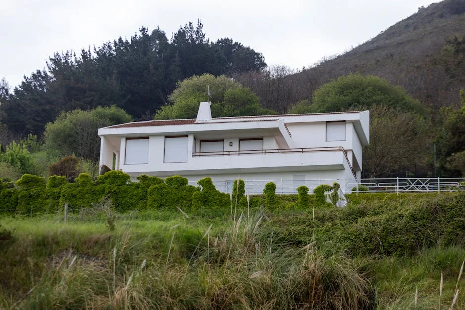 Casa Pia Faces Sporting Braga — Key Battle for Liga Survival in Rio Maior — Economy Business