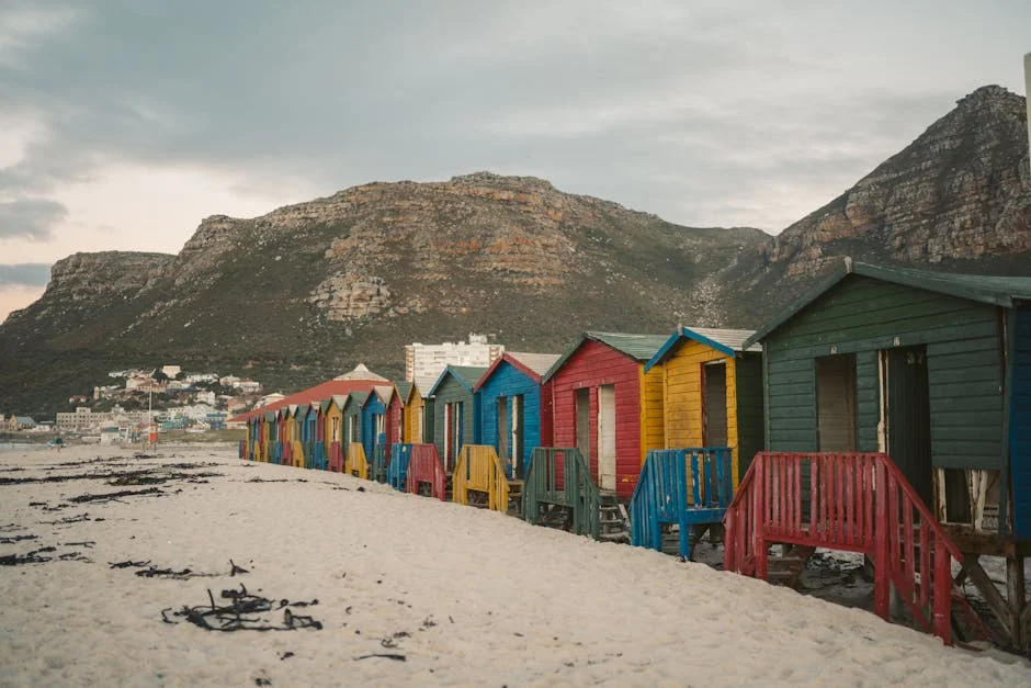 Cheslin Kolbe Returns to South Africa — Market Impact Revealed — Opinion