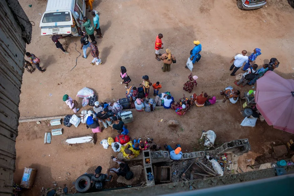 Congo Faces New Ebola Outbreak — What This Means for Global Markets — Science