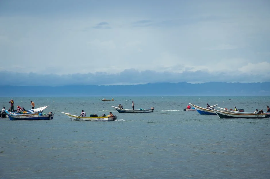 Dozens Attack Mozambican Immigrants in Mossel Bay — Business Leaders Sound Alarm — Economy Business