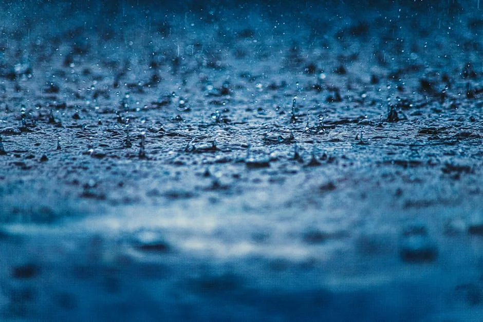 Eastern Cape Faces Heavy Rain Threat — Farmers Brace for Crop Loss — Opinion
