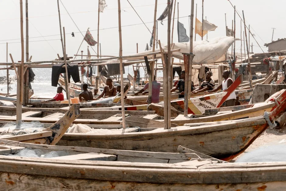 Ghana's Government Reveals 90% of Repatriated Citizens Lack Valid Documents — World News