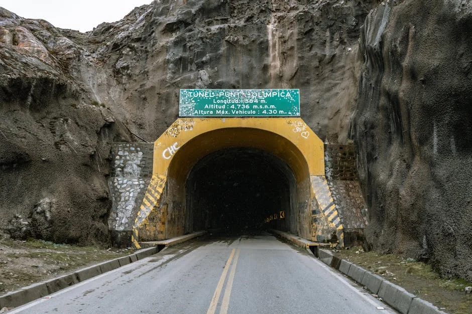 Hantavirus in The Andes Triggers Economic Shockwaves — Society Culture