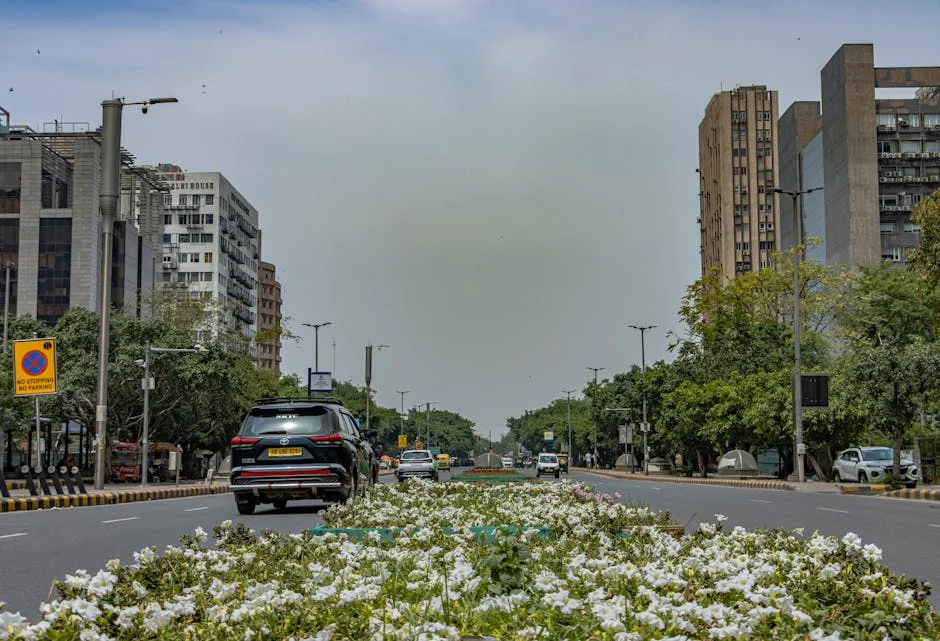 India Faces Economic Fallout After Akash Delison's Death Ignites Protests — Economy Business