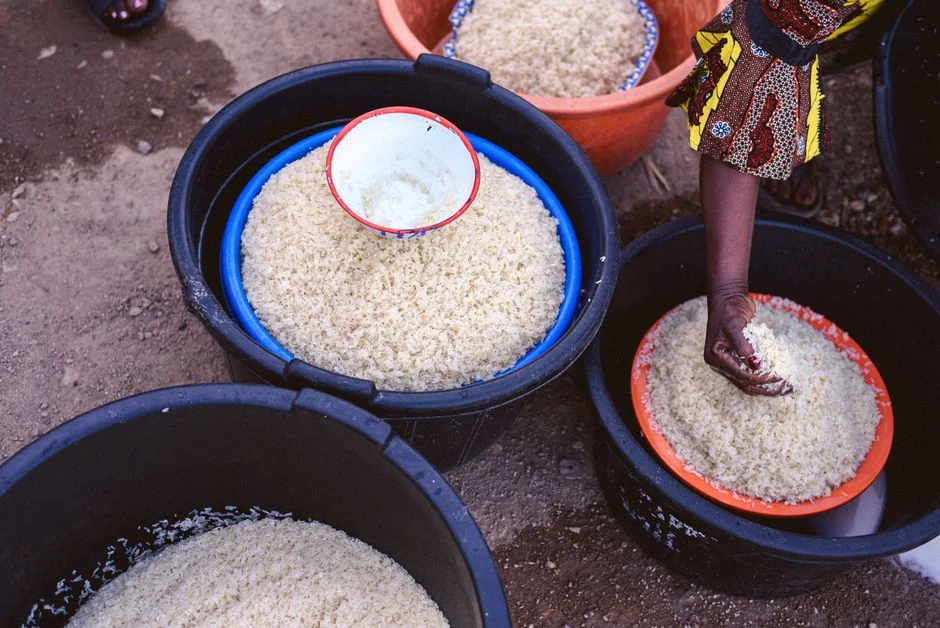 India Turns to Nigeria for Soybean Supplies Amid Global Shortages — World News