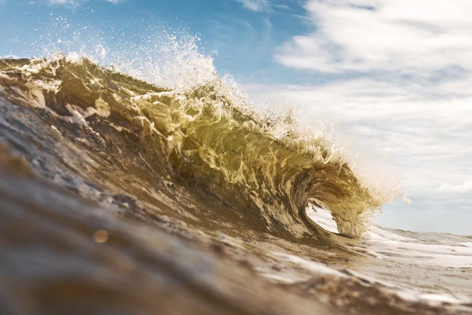 Interna Launches Emergency Measures as Heatwave Sparks Crisis — Economy Business