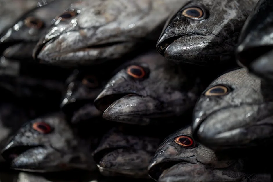 Iran Tensions Flare as Middle East Markets Watch — Opinion