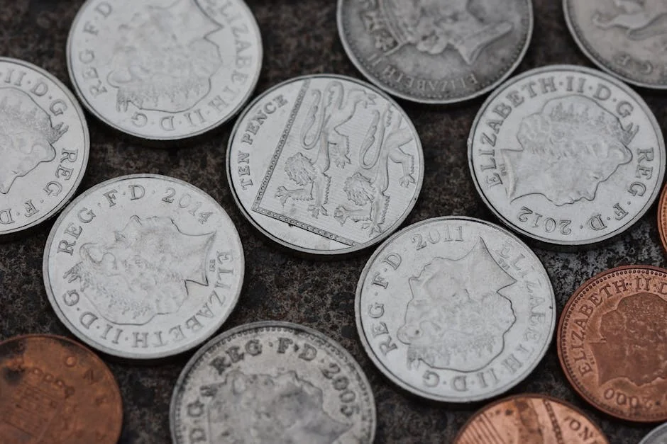 King Charles Warns US on NG's Economic Impact — Investors Take Note — Politics