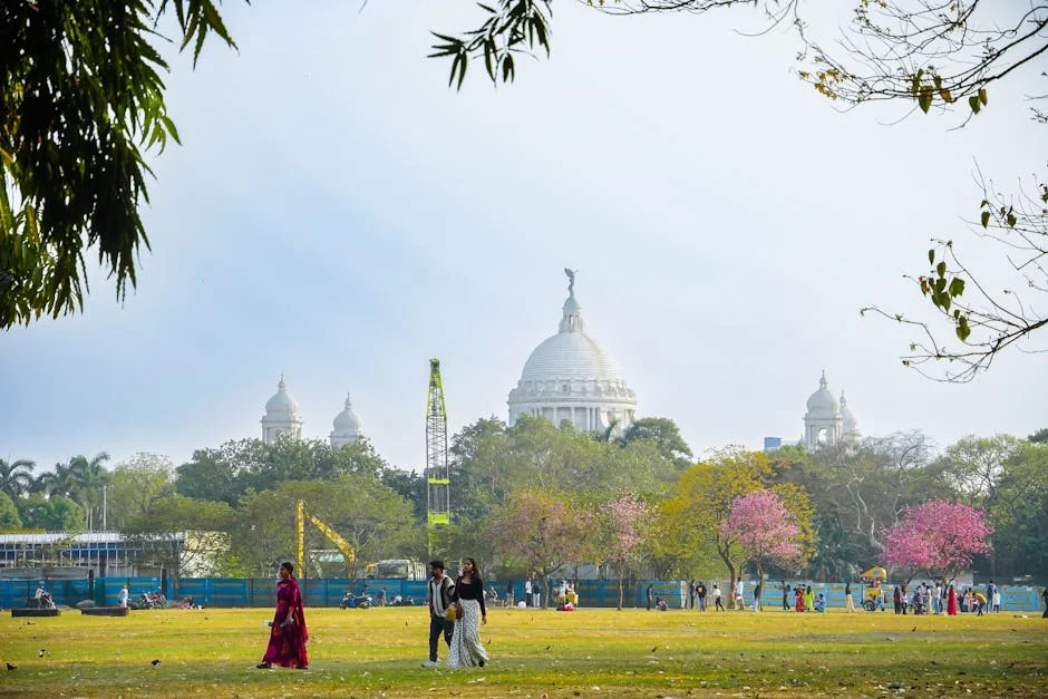 Kolkata Victory Shatters Mumbai Hopes, Reshaping IPL Playoff Economics — Sports