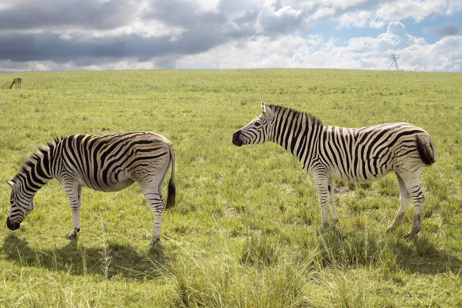 KwaZulu-Natal Court Sends Serial Rapist to 85 Years in Prison — Economy Business