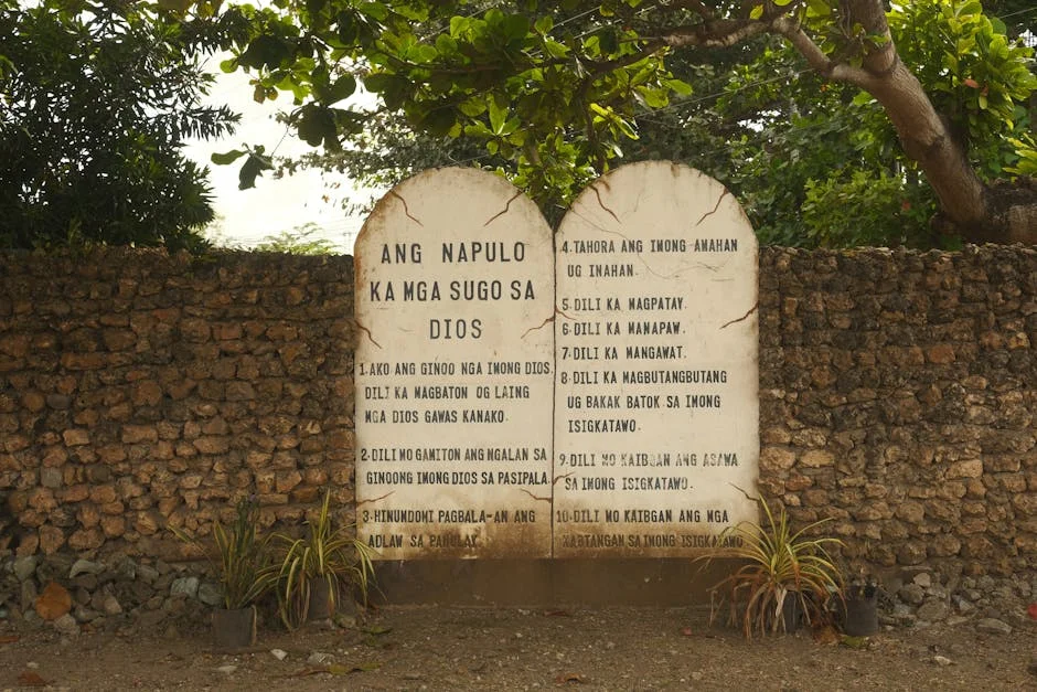 Malaga FC's Financial Crisis Sparks Investor Concerns