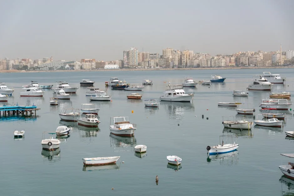 Marina Warns of Rising Prices as Quem Introduces New Fiscal Package — Economy Business