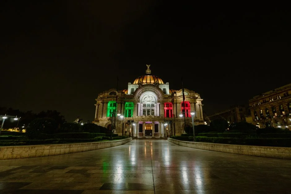 Mexico Senate Delay Disables Rights for People With Disabilities — World News
