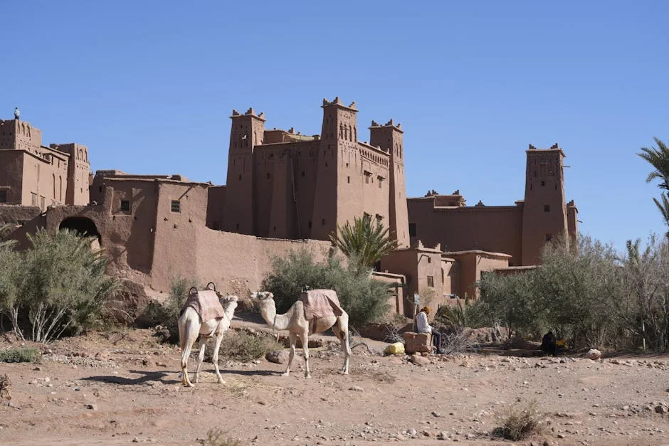 Morocco Promotes Tourism in Western Sahara — Will Investors Follow Suit? — Politics