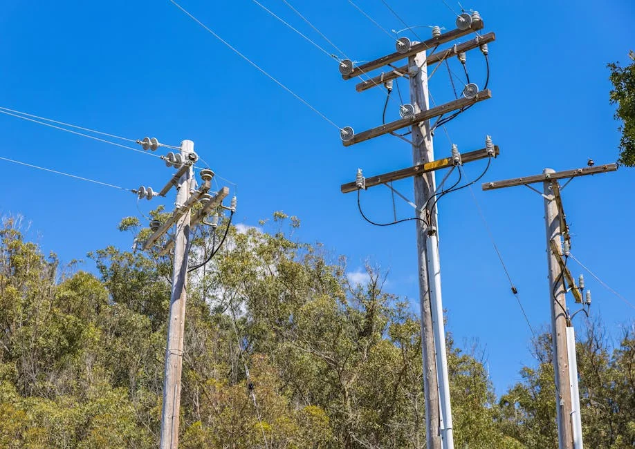 Pinelands City Launches Underground Cabling Project — Aiming for Greater Infrastructure Resilience — Technology