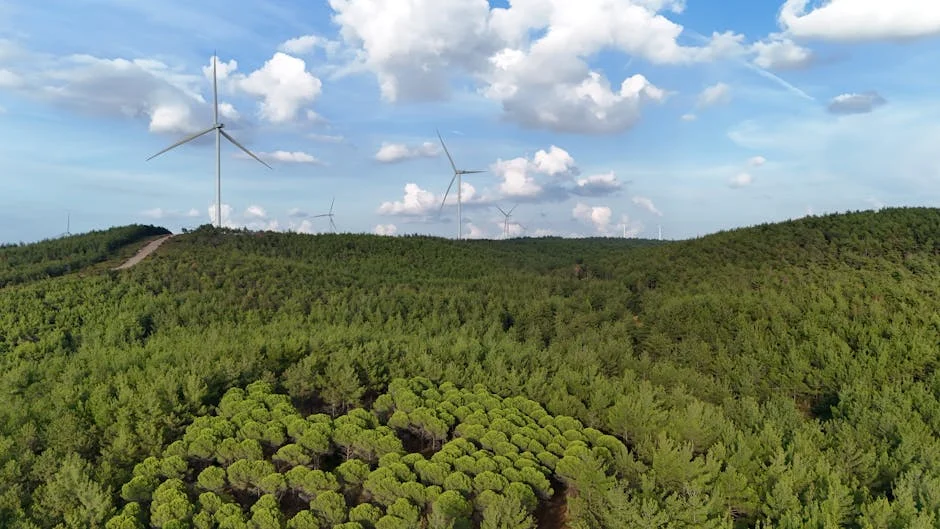 Portugal Sparks Energy Debate with Iberian Power Outage — Markets on Edge — Economy Business