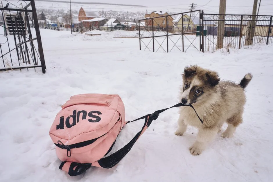 Siberia Plague Death Triggers 200 Contact Quarantine — Health