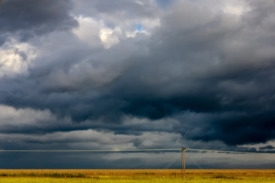 South African Weather Service Warns of Morning Fog Impacting Transport and Trade — Technology