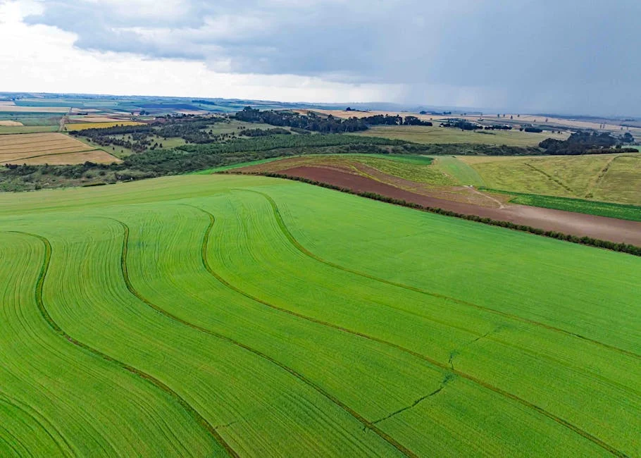 South Africa's Agriculture Faces Crisis as Political Instability Surges — Health