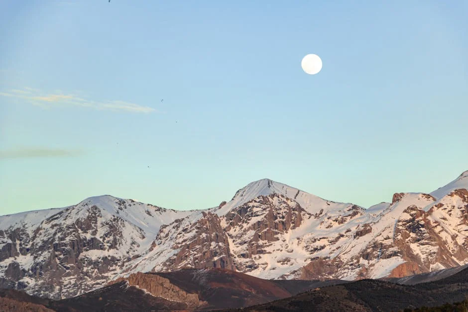 South Africa's Blue Moon Peaks Interest — UK Businesses Prepare for Skywatching Surge — Health
