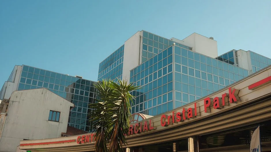 Sporting Cristal Strikes First Against Junior — Economic Stakes for VE — Economy Business