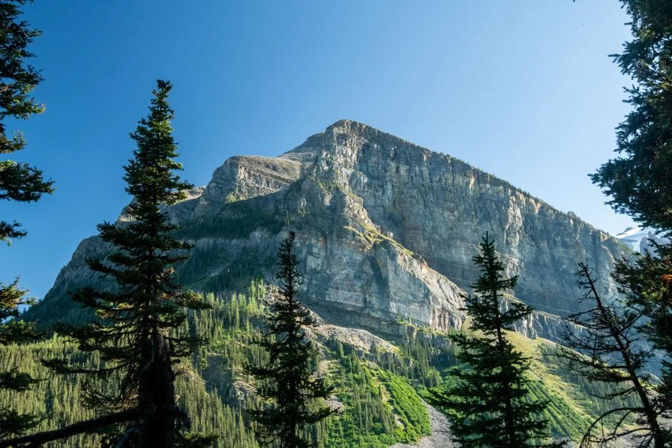 Table Mountain National Park Changes Winter Hours — Visitor Numbers Set to Shift — Opinion