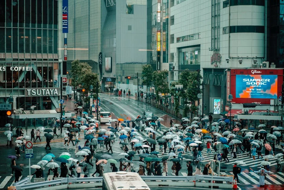 Typhoon Jangmi Threatens Japan as Europe Heatwave Pushes Energy Prices Higher