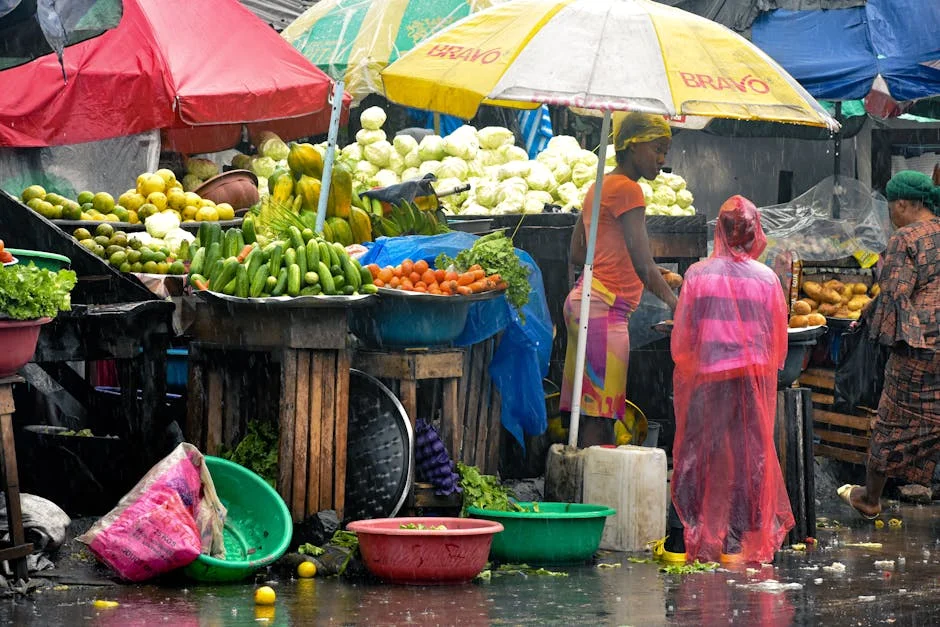 West Africa Ebola Scare Triggers Market Jitters and Supply Chain Shocks — Health
